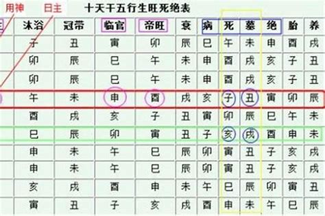 八字身弱怎麼辦|強運八字學教室 ─ 如何正確判斷身強身弱